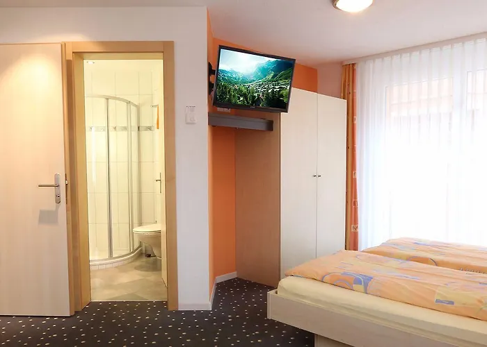 费霍夫公寓 * 萨斯费